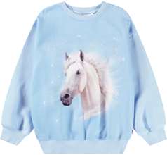 Monti Sweaters