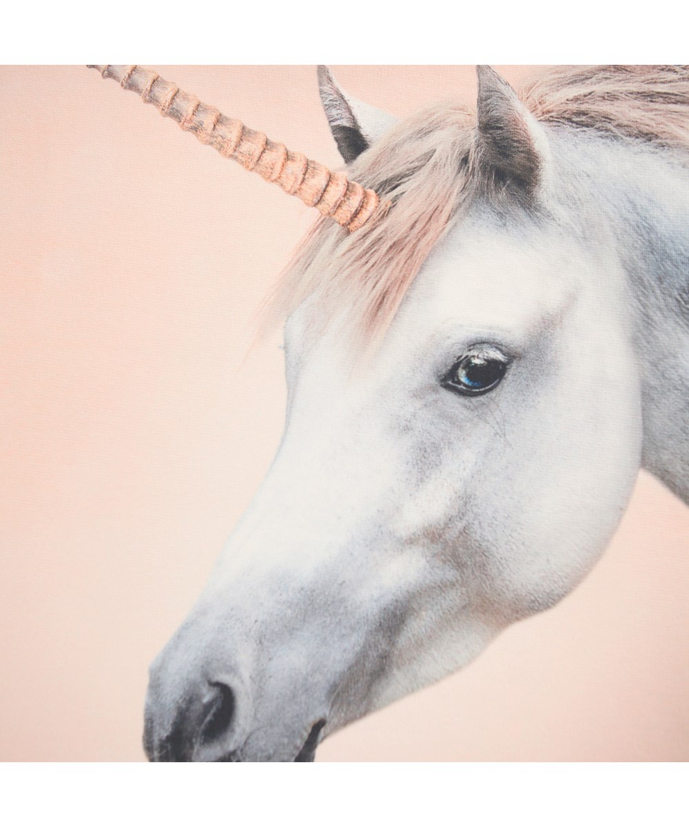 Mountoo - Born A Unicorn - Rosa tröja för barn i ekologisk bomull med en enhörningsmönster.
