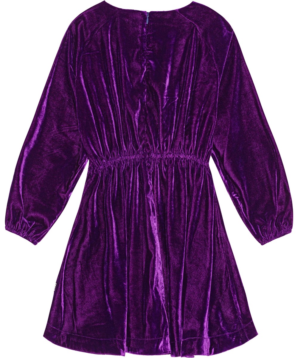 Cali - Warm Purple - Purple velvet knee-length dress with raglan sleeves and elastic waist.