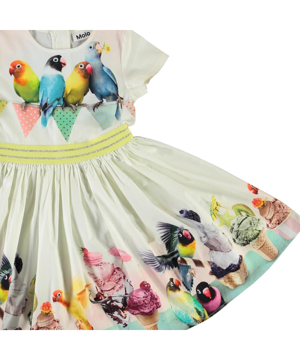 Candy - Ice Ice Birdie - Organic dress with ice cream and birds