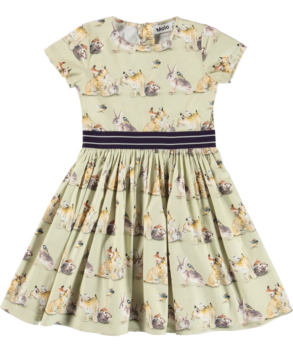 Candy - On A Line - Light green organic dress with animal print 