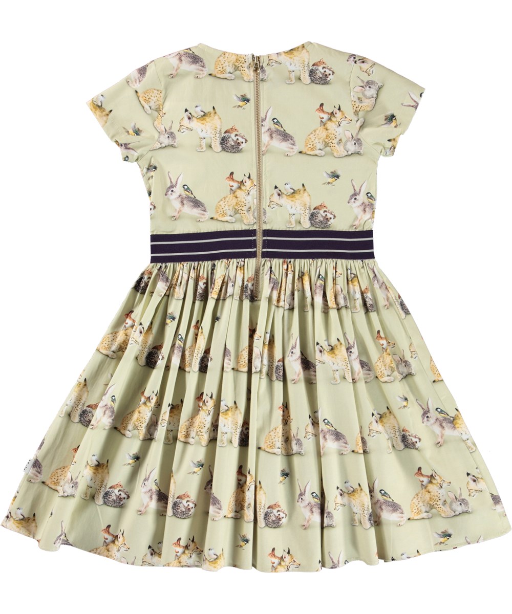 Candy - On A Line - Light green organic dress with animal print 