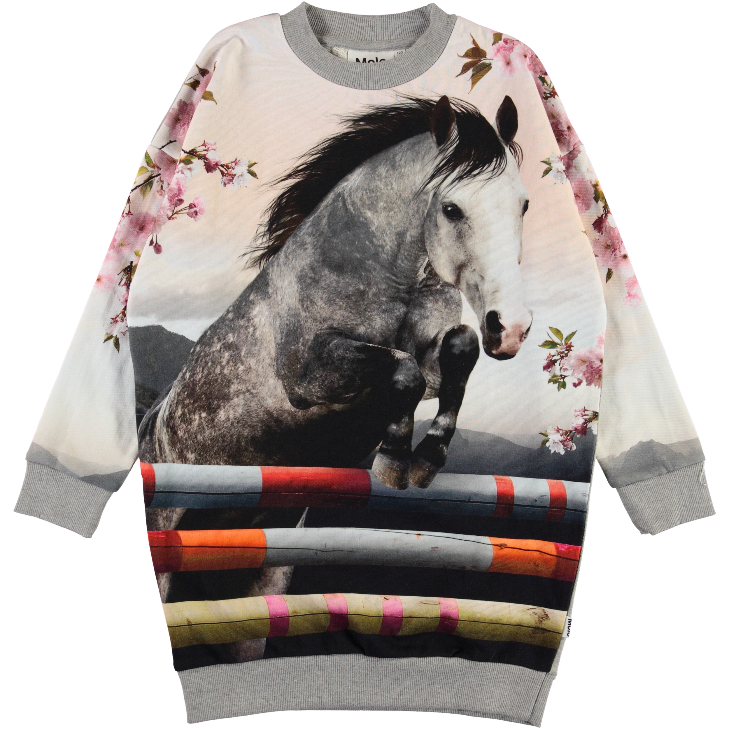 Carita - Jumping Horse - Organic sweatshirt dress with horse