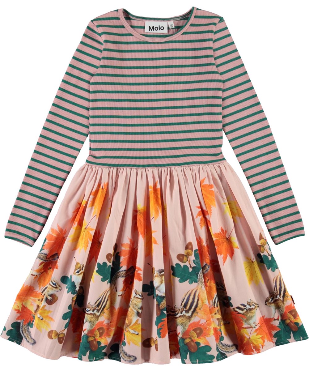 Casie - Chipmunks - Organic dress with striped top and squirrel 