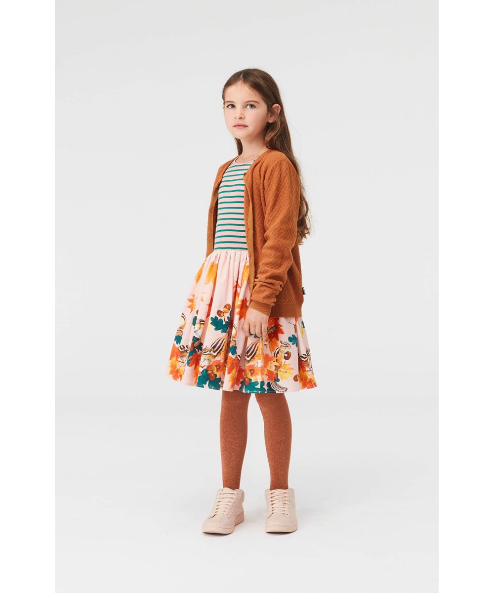Casie - Chipmunks - Organic dress with striped top and squirrel 