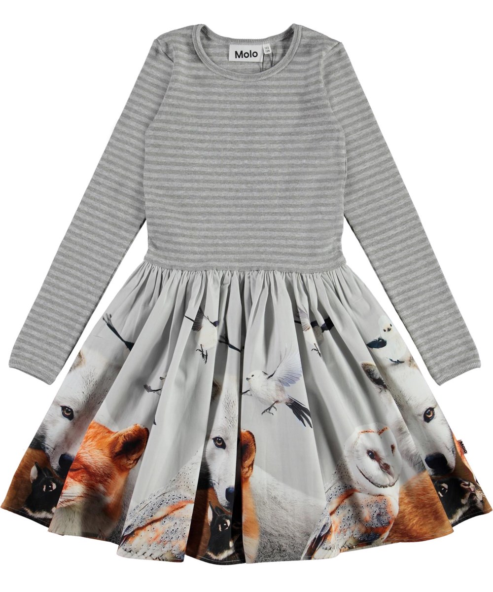Casie - Friendly - Grey organic dress with animals and stripes 