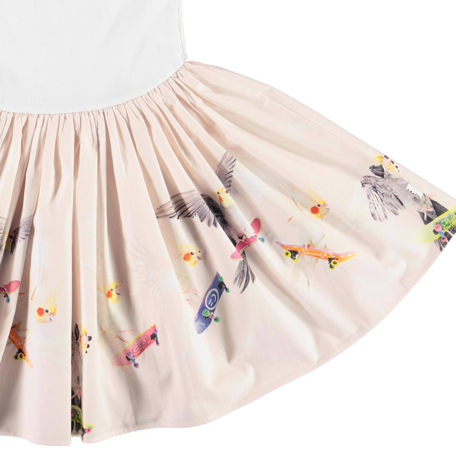 Cassandra - Skate Border - Organic dress with a rose