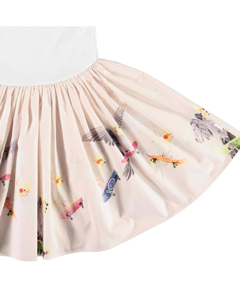 Cassandra - Skate Border - Organic dress with a rose coloured skirt with skater birds