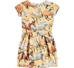 Cia Dresses