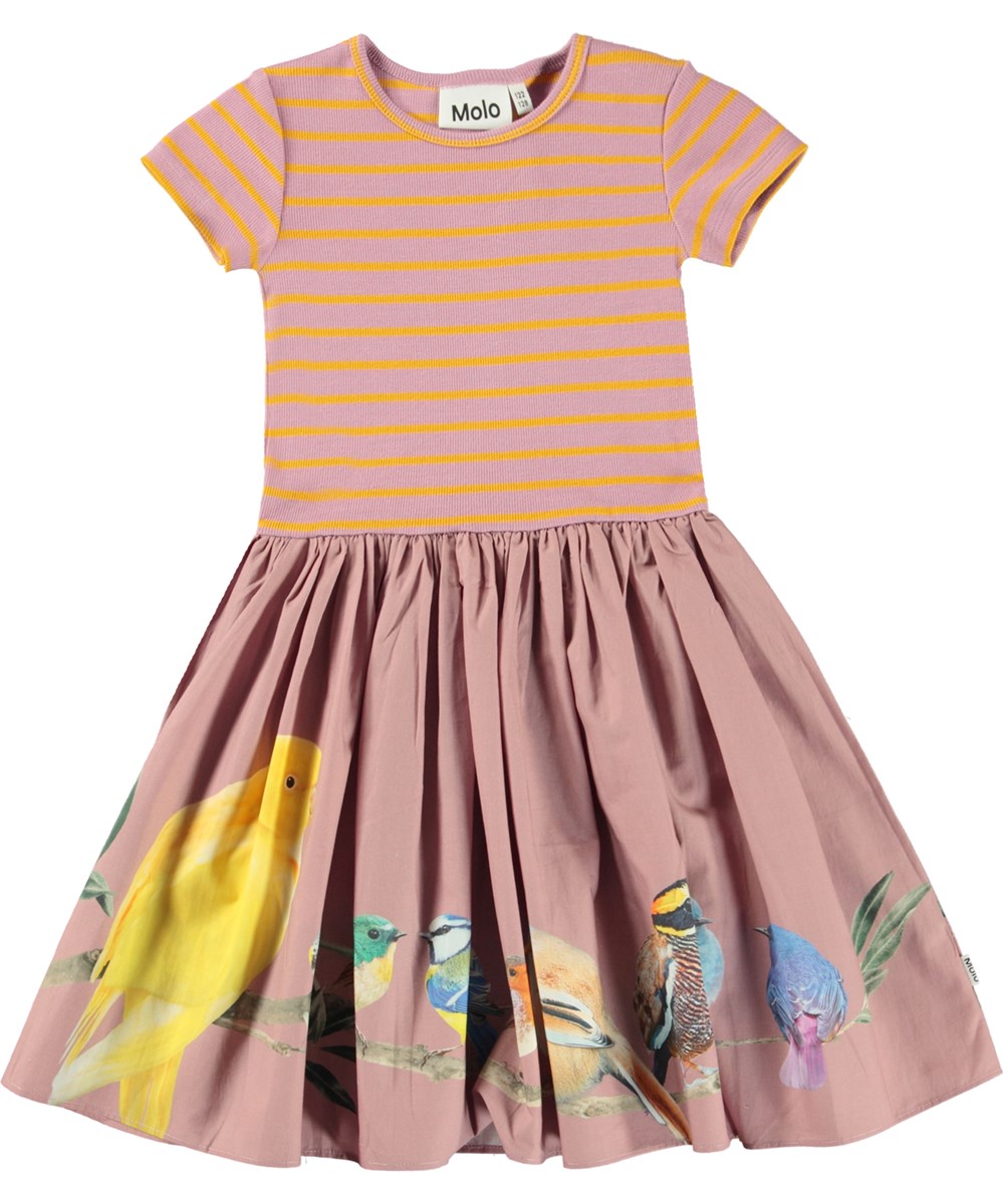 Cissa - Bird Planets - Organic dress with striped top and bird print
