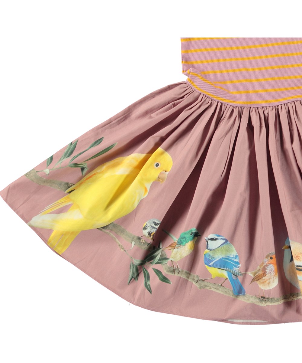 Cissa - Bird Planets - Organic dress with striped top and bird print