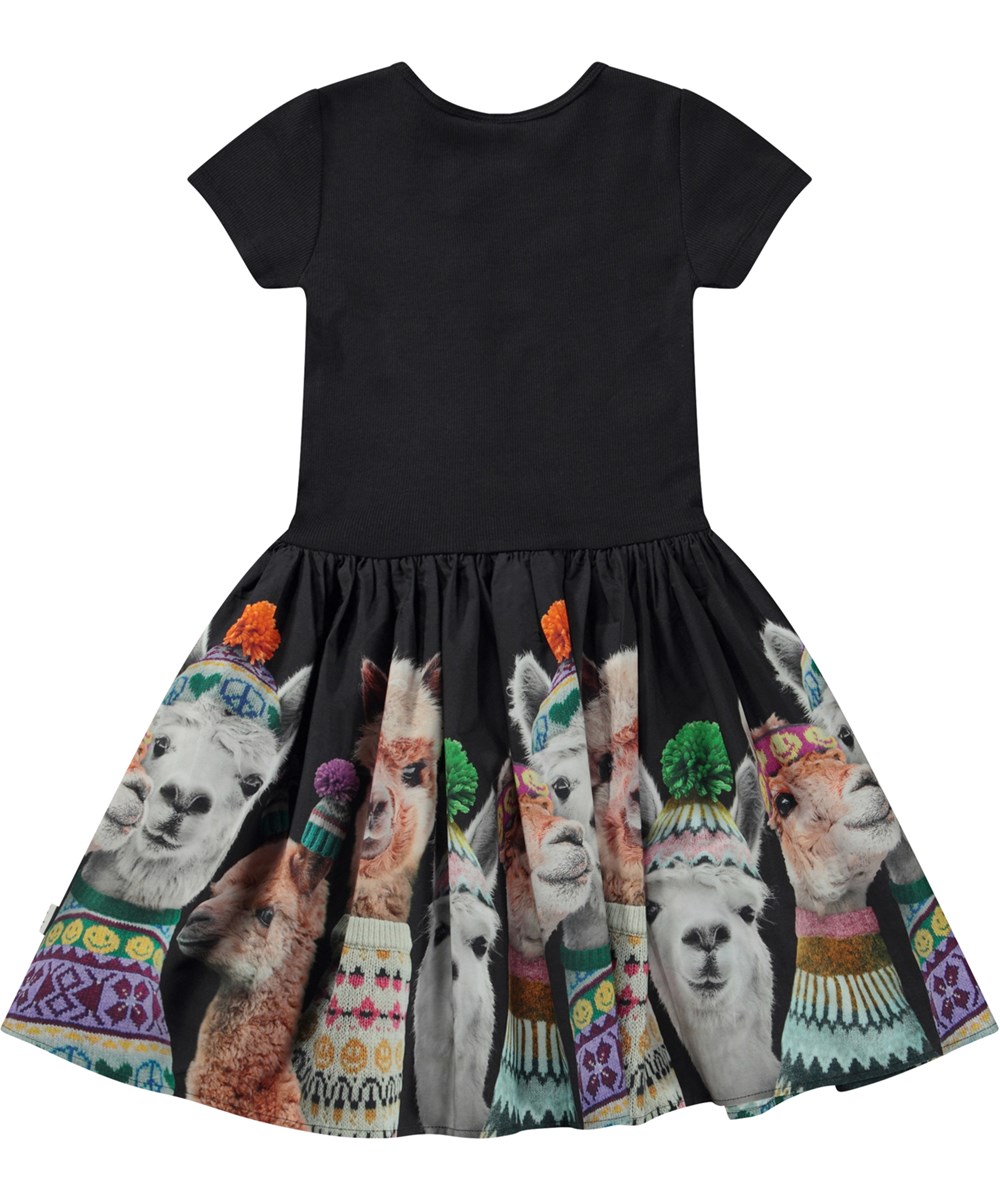 Cissa - Family Photo - Black organic knee length dress with poplin skirt in llama print