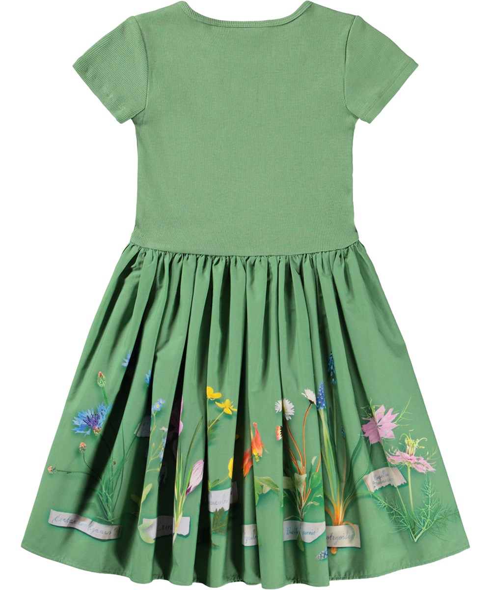 Cissa - Flora Collector - Green dress for children made of organic cotton with a floral print