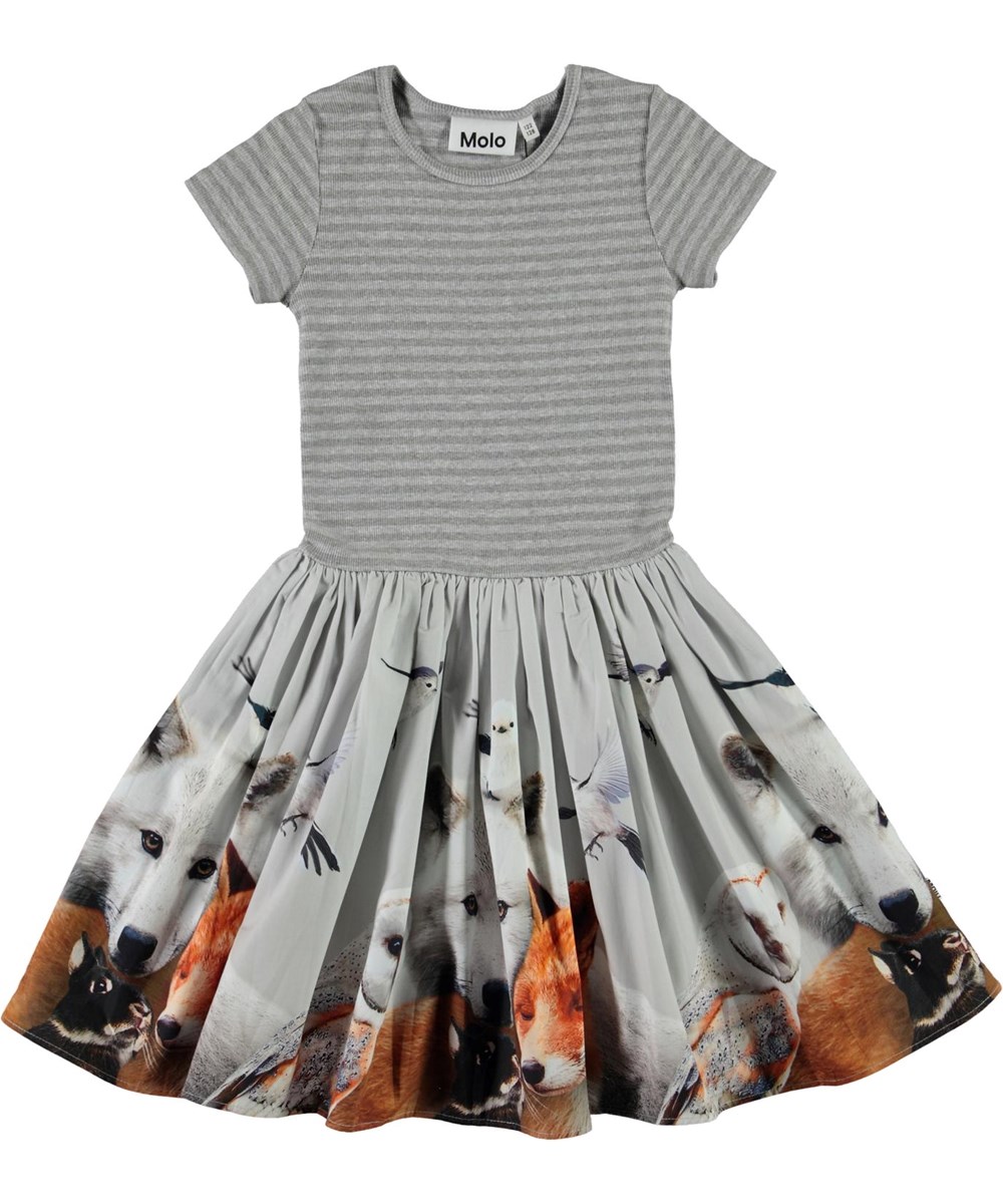 Cissa - Friendly - Grey organic dress with animal print