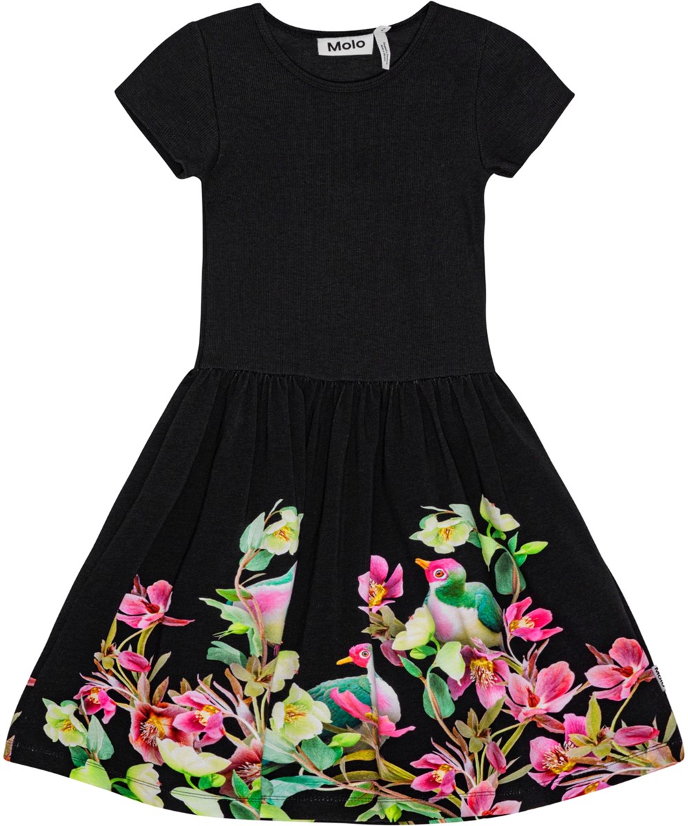 Cissa - Fruit Doves Dark - Black short-sleeved dress in organic cotton with floral print.