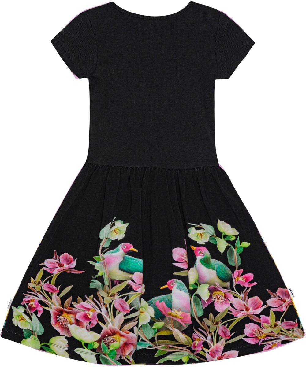 Cissa - Fruit Doves Dark - Black short-sleeved dress in organic cotton with floral print.
