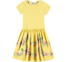 Cissa Dresses