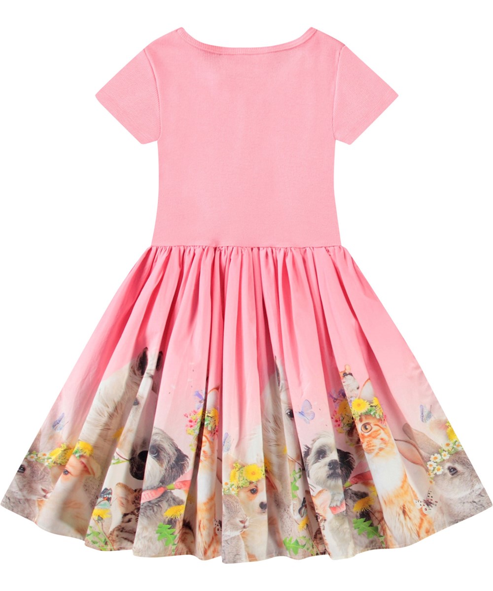 Cissa - Midsummer - Pink short-sleeved dress for children in organic cotton with a snug ribbed jersey top and poplin skirt.