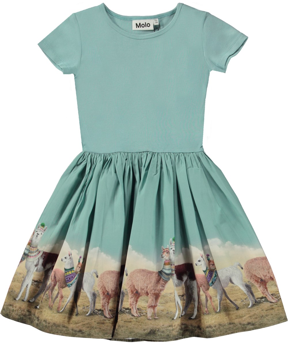Cissa - Out And About - Blue organic knee length dress with poplin skirt in llama print