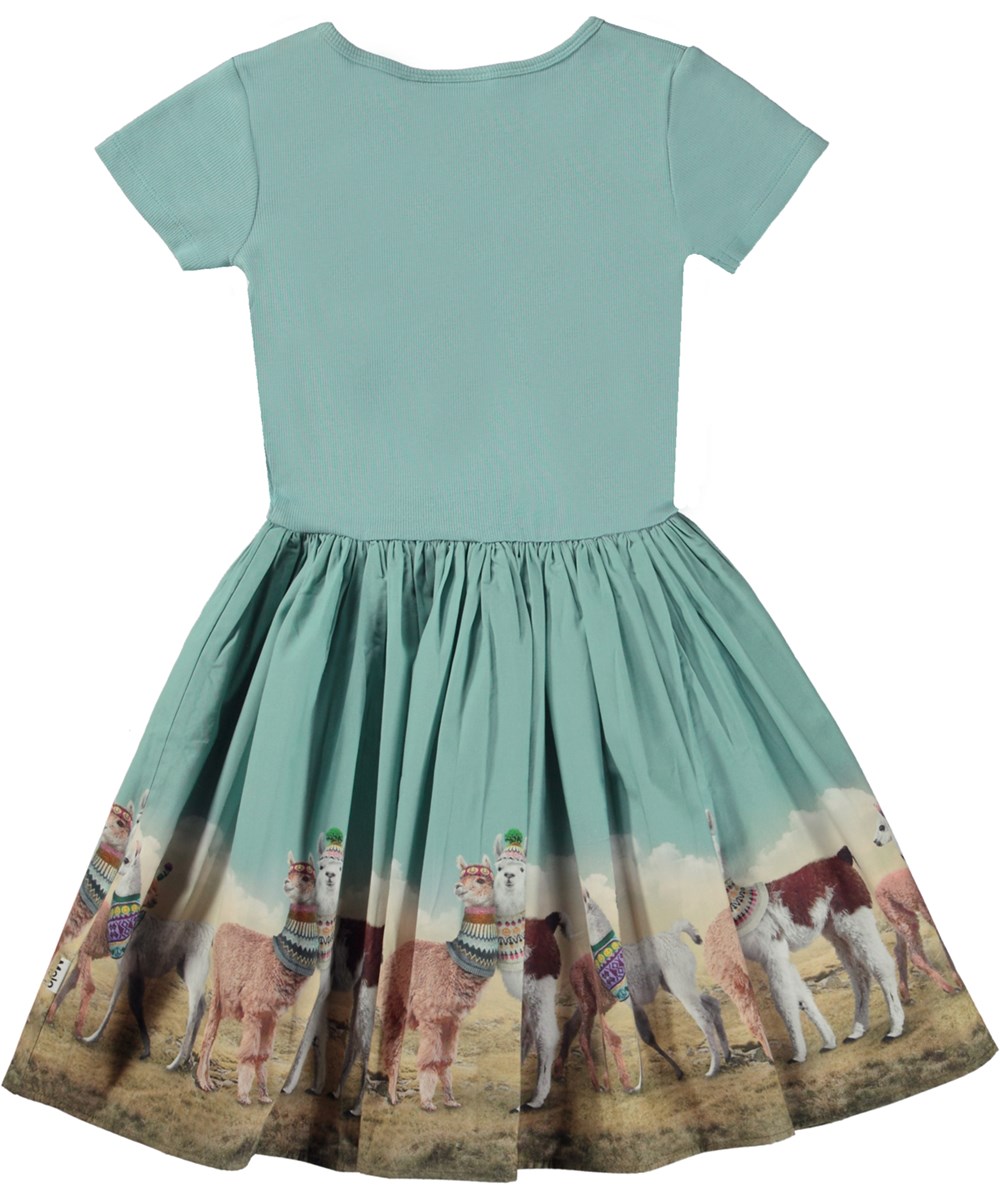 Cissa - Out And About - Blue organic knee length dress with poplin skirt in llama print