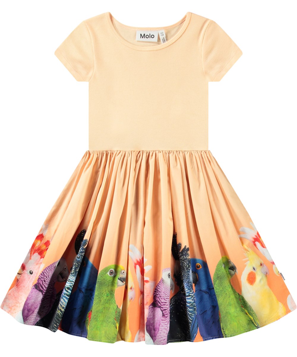 Cissa - Rainbow Parrots - Light orange short-sleeved dress for children in organic cotton with a snug ribbed jersey top and poplin skirt.