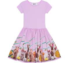 Cissa Dresses