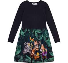 Credence Dresses