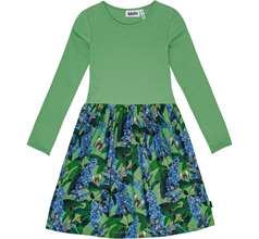 Credence Dresses