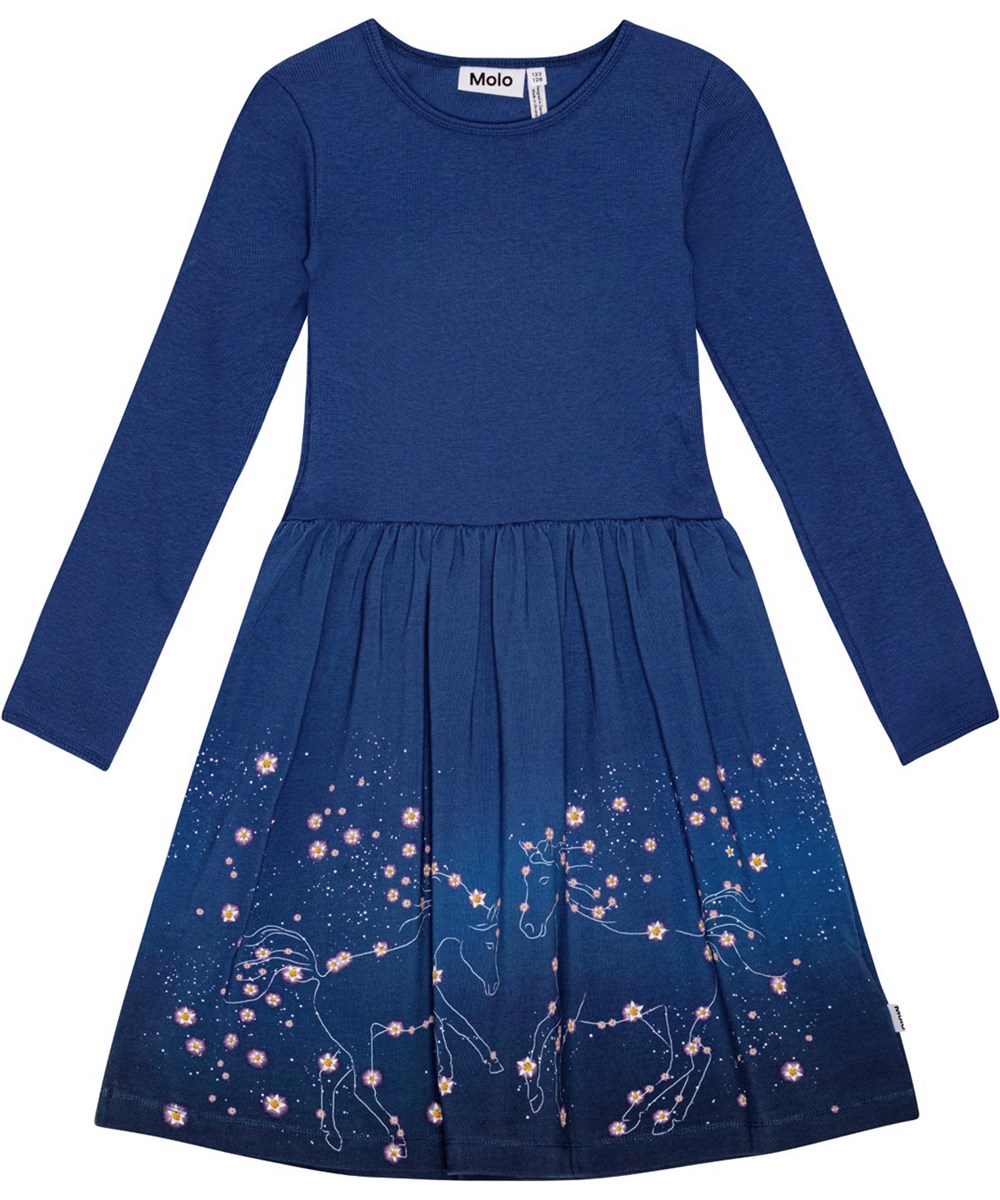Credence - Flower Sign - Navy long-sleeved dress in organic cotton with playful horse print.