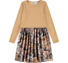 Credence Dresses