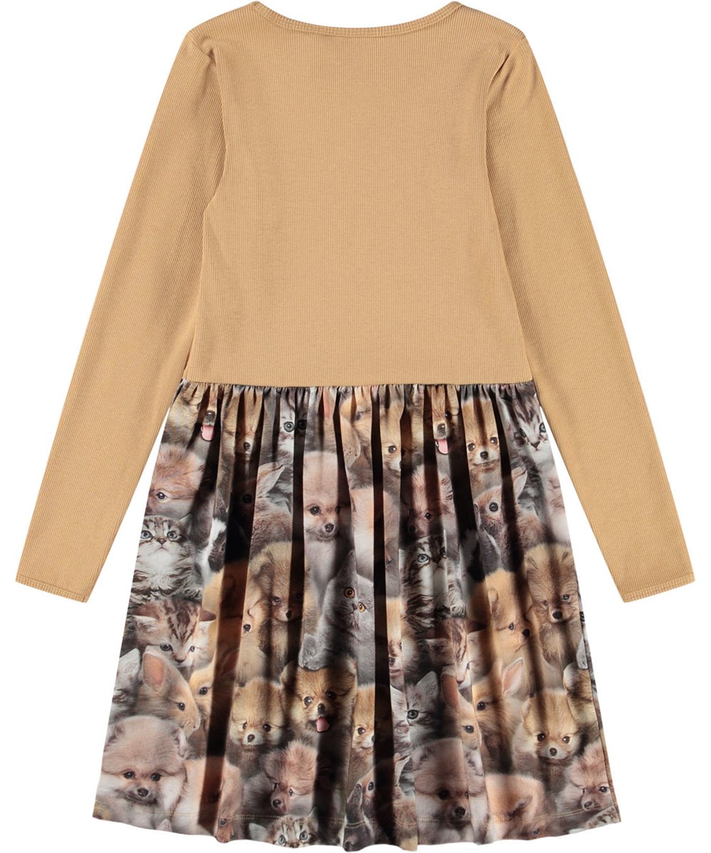 Credence - Fuzzy Fluffy - Brown long-sleeved dress for children made of organic cotton, combining a close-fitting top in ribbed jersey with a smooth jersey skirt.