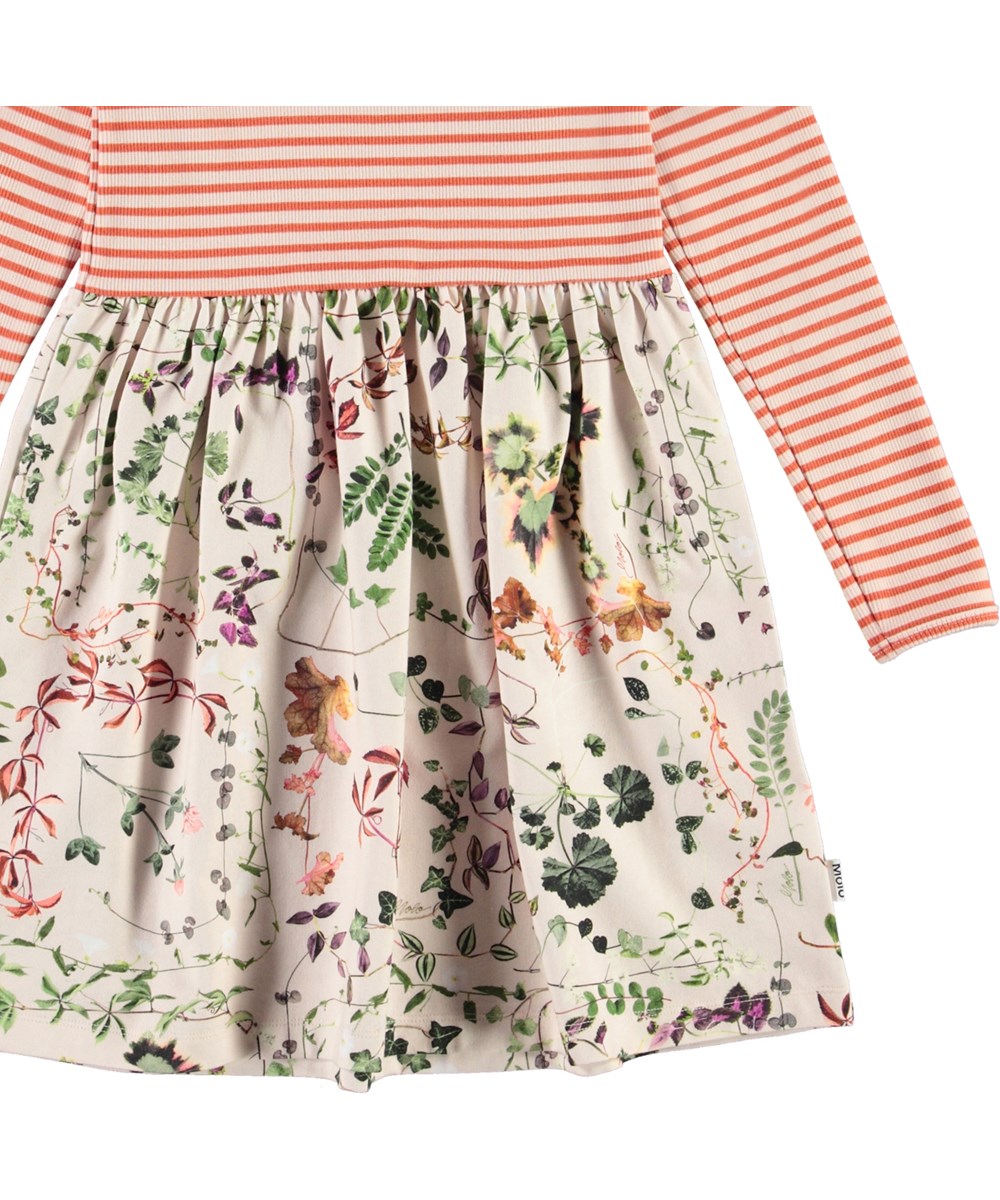 Credence - Herbarium - Dress with rose and red striped top and flower print