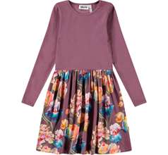 Credence Dresses
