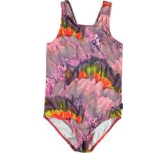 Orchid New arrivals