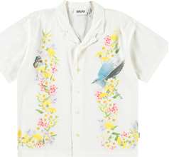 Rui Shirts