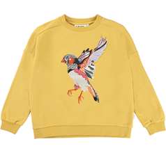 Mandy Sweaters