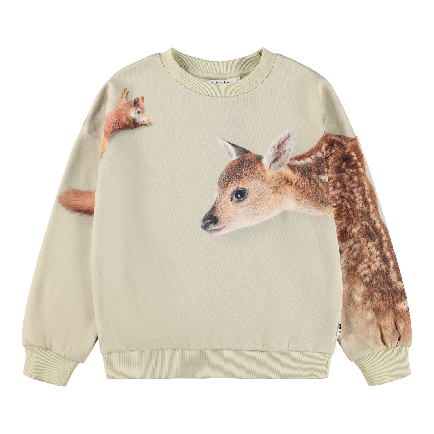 Maxi - Forest Friends - Beige sweatshirt for children made