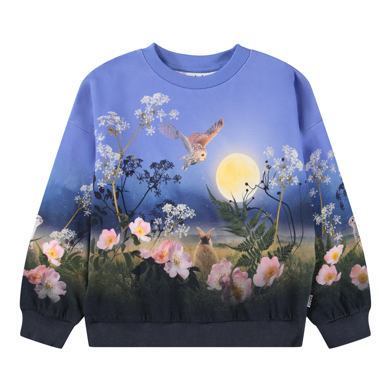 Maxi - Magic Moonrise - Blue sweatshirt for children made of