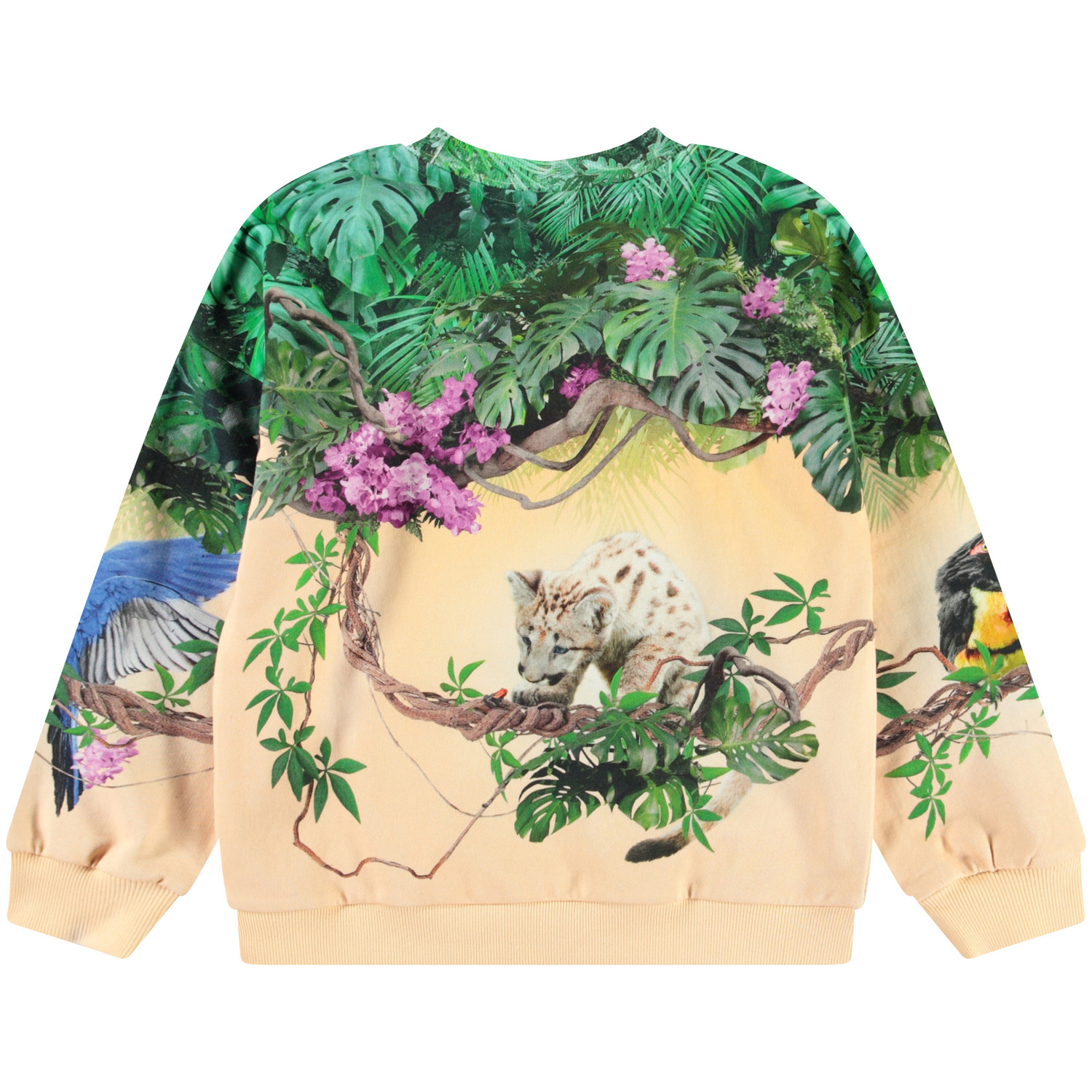 [送料込] Supima Cotton Pigment Overfit Sweatshirt (7color) Embroidered Comfort Colors Sweatshirt Pigment Dyed Crewneck
