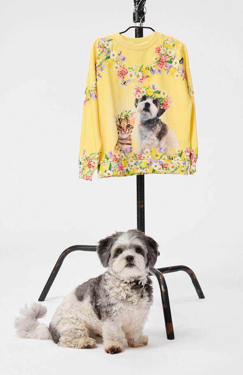 Maxi - Sweet Maggie - Yellow sweatshirt with print for children made from soft organic cotton with ribbed cuffs at the neck, sleeves, and bottom of the sweatshirt