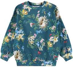 Monti Sweaters