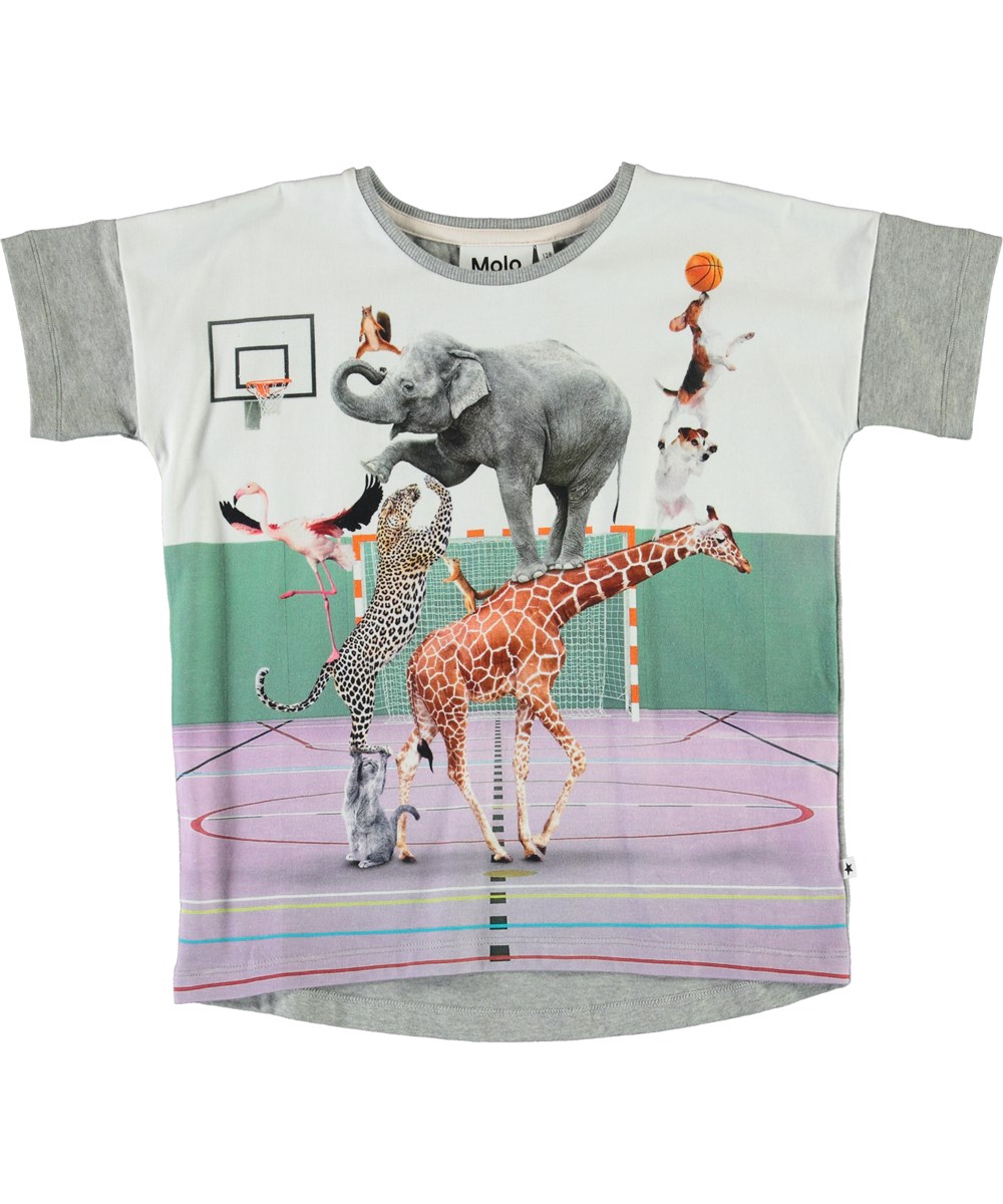 Raeesa - Animal Pyramid - Grey organic t-shirt with animals