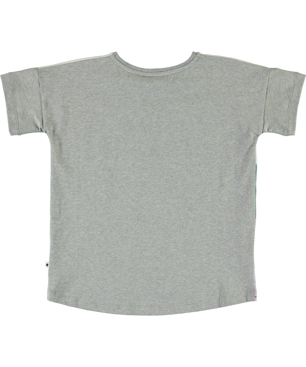Raeesa - Animal Pyramid - Grey organic t-shirt with animals