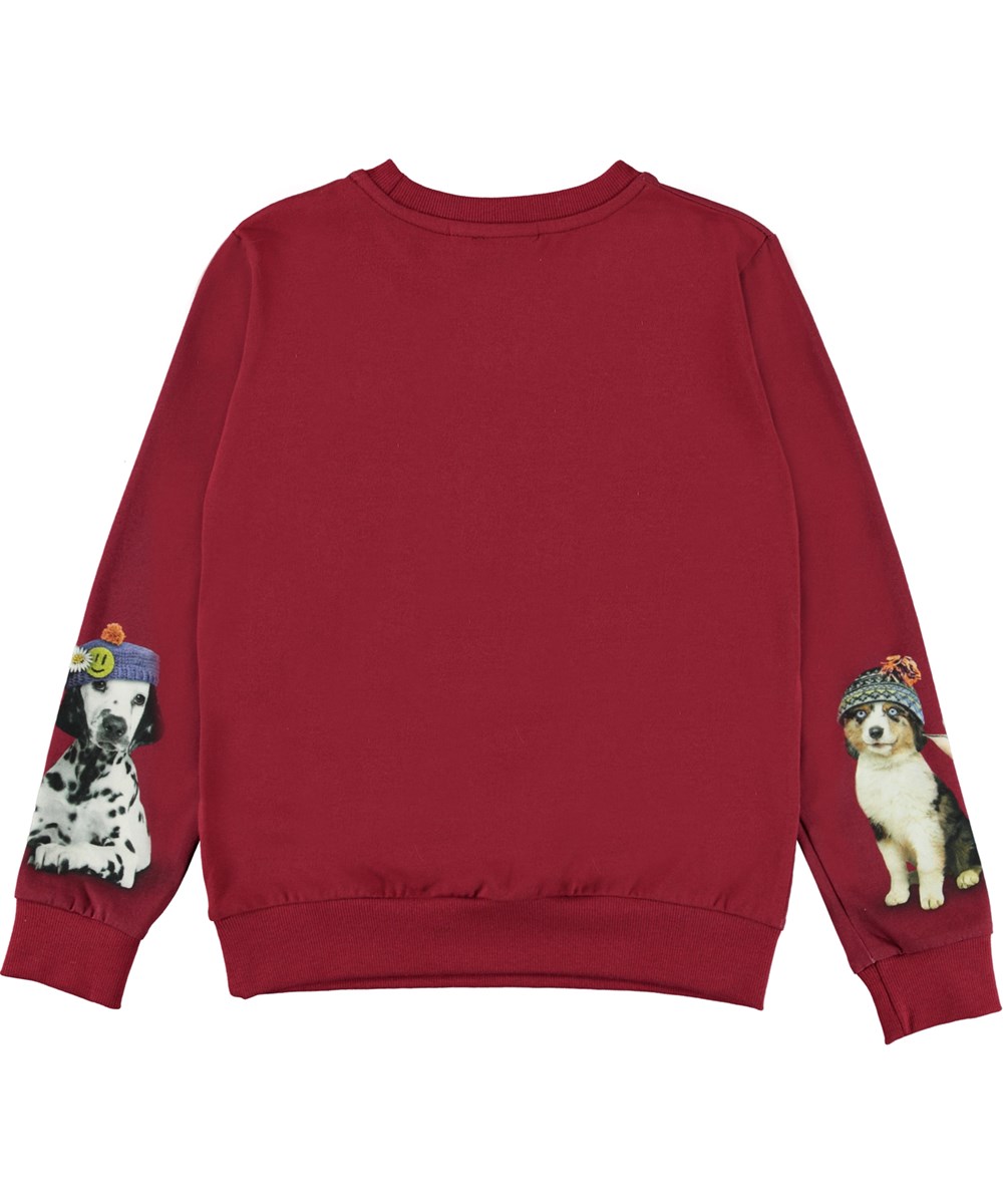 Regine - Family Photo - Red organic top with animals with hats 