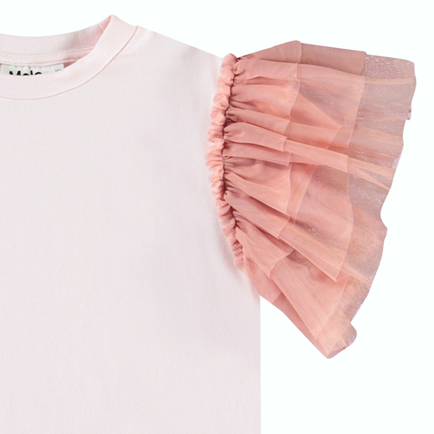 トップス Charlotte ribbon set up AM1270 S トップス Charlotte ribbon set up AM1270 S Embellish Ribbon