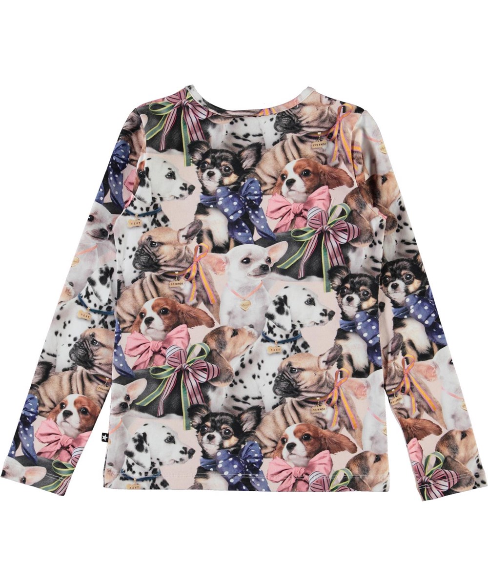 Rose -  Puppy Love - Organic top with dog print