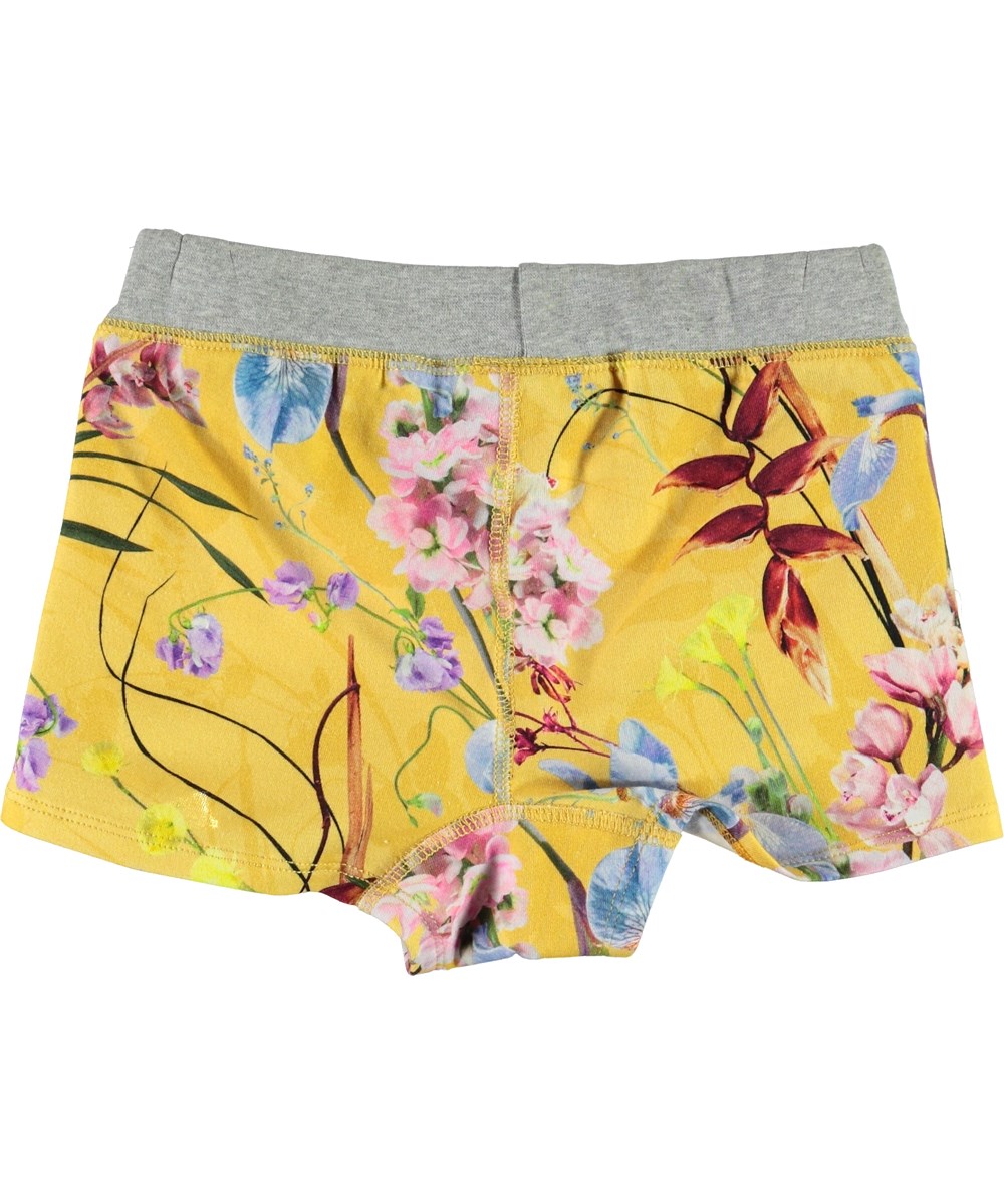 Joanna - The Art Of Flowers - Organic knickers with floral print 