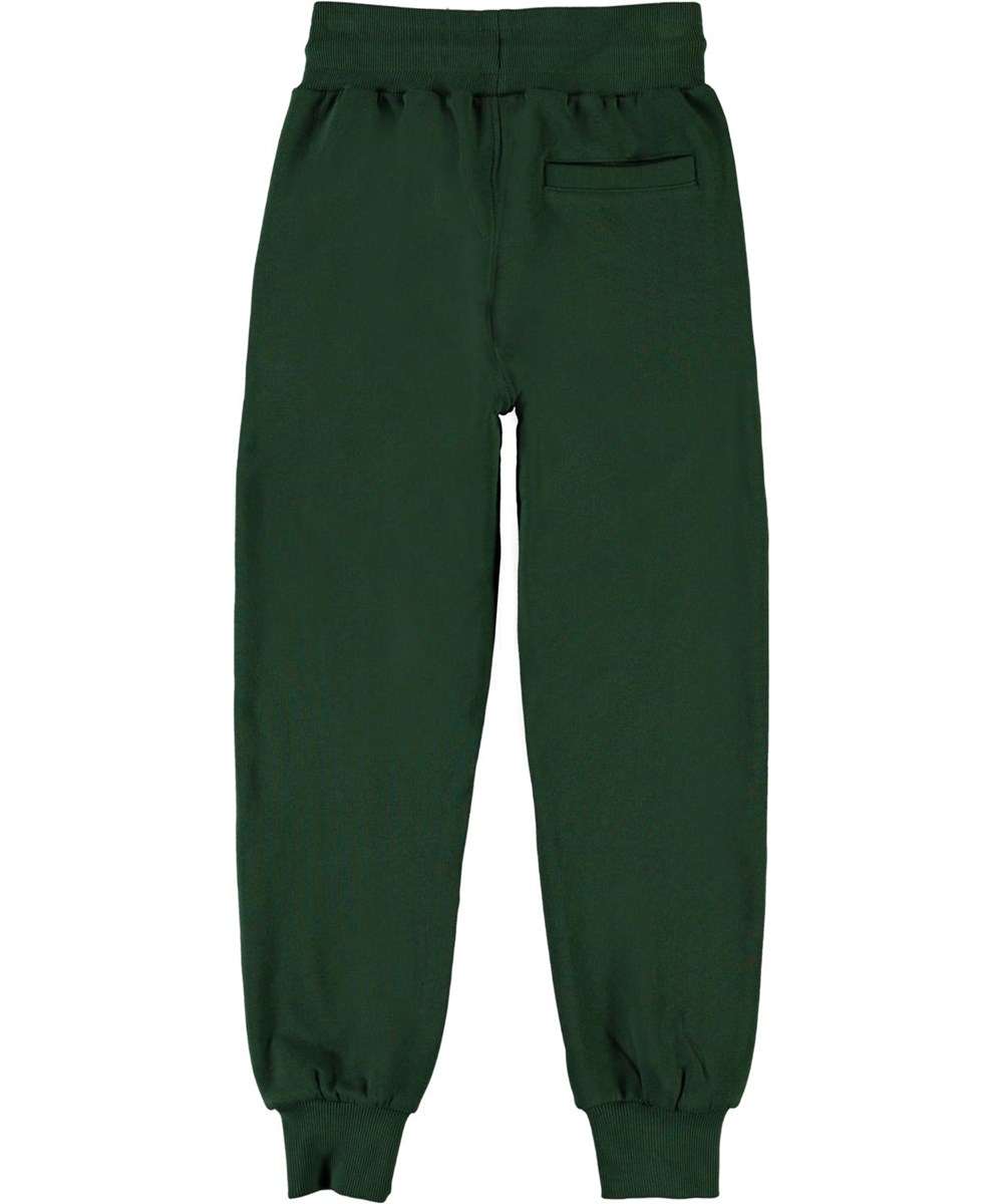 Alvar - Eden - Groene biologische joggingbroek met coördinaten