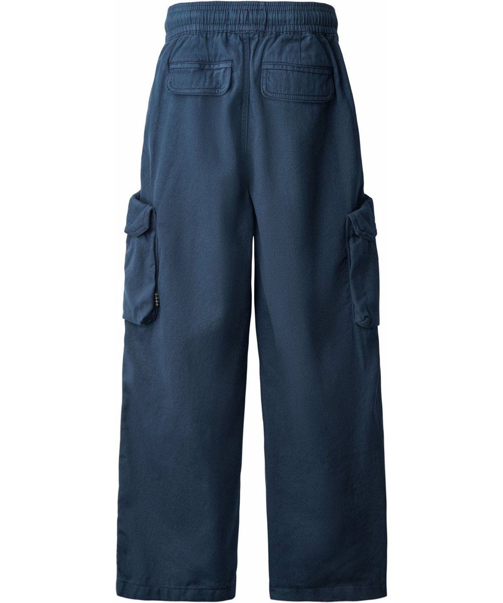 Argo - Galaxy Blue - Blauwe cargobroek gemaakt van biologisch katoen.