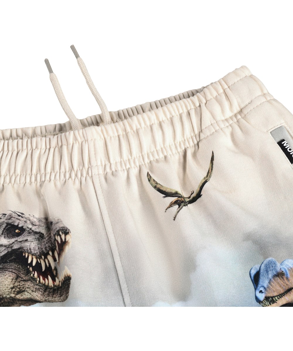 Amil - Hot Spring Dinos - Beige en blauwe kindershorts met een dinosaurussenprint gemaakt van biologisch katoenen jersey 